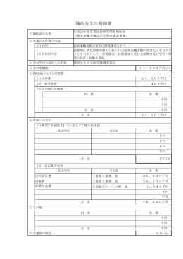 補助金支出明細書 - 一般財団法人 日本航空機開発協会
