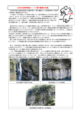 九州の自然学散歩－17｢高千穂峡の本質｣