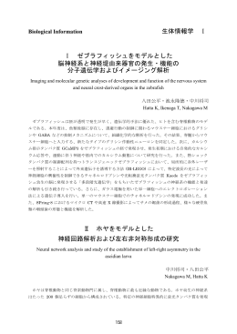 生体情報学 Ⅰ Ⅰ ゼブラフィッシュをモデルとした 脳神経系と神経堤由来