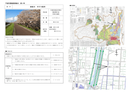 「景観重要樹木 第4号 渋田川 サクラ並木」(PDF968KB)