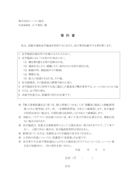 誓約書(PDFファイル)