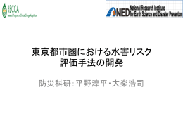 東京都市圏における水害リスク評価手法の開発