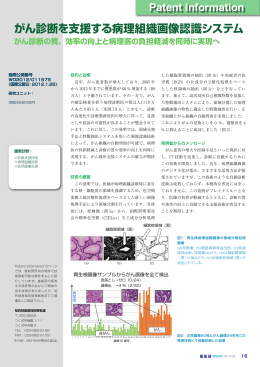 がん診断を支援する病理組織画像認識システム[ PDF：1MB ]
