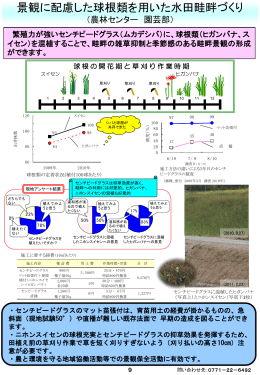景観に配慮した球根類を用いた水田畦畔づくり（園芸部）（PDF：459KB）