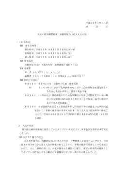 （京都府福知山花火大会火災：平成25年10月4日付け消防庁）（PDF