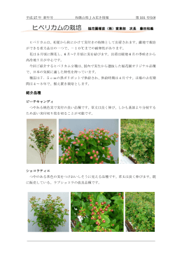 ヒペリカムの栽培 - JA和歌山県農