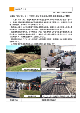 世羅町で麦を低コストで安定生産する新技術 (PDFファイル)