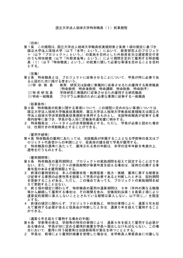 国立大学法人琉球大学特命職員（Ⅰ）就業規程 （目的） 第1条