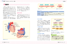 冠動脈系