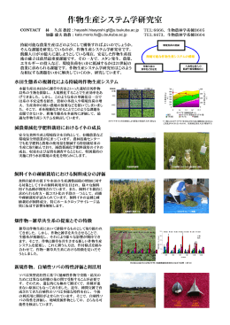 作物生産システム学研究室（pdf）