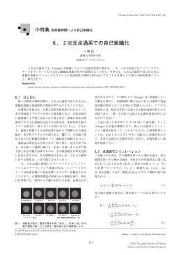 6．2次元点渦系での自己組織化