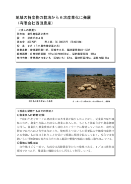有限会社西田農産（PDF：289KB）