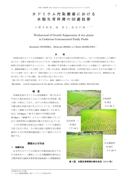 カドミウム汚染圃場における水稲生育停滞の回避 [PDFファイル