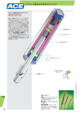 ステンレス製引込み式ガススプリング - エース コントロールス ジャパン