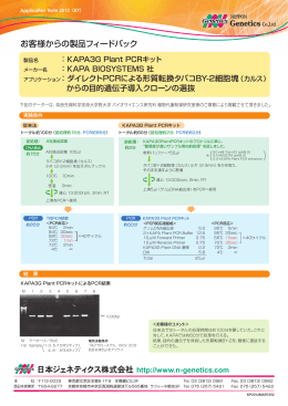 ダイレクトPCRによる形質転換からの目的遺伝子導入クローン選抜/日本語