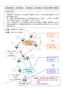 東北電力と東京電力の実証試験の概要