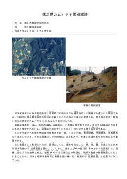 徳之島カムィヤキ陶器窯跡（PDF：104KB）