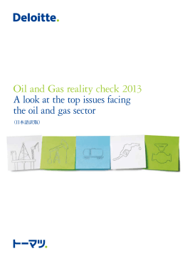 Oil and Gas reality check 2013 A look at the top issues