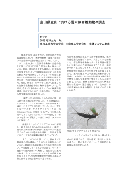 富山県立山における雪氷無脊椎動物の調査
