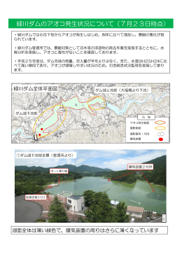 緑川ダムのアオコ発生状況について（7月23日時点）