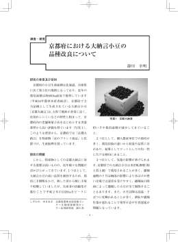 京都府における大納言小豆の 品種改良について