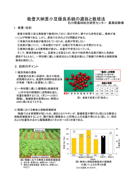 能登大納言小豆優良系統の選抜と栽培法