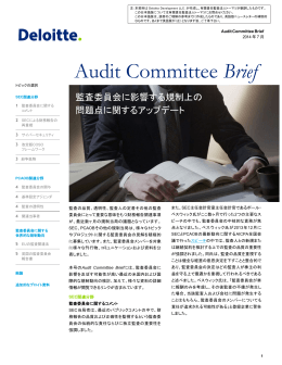 Audit Committee Brief