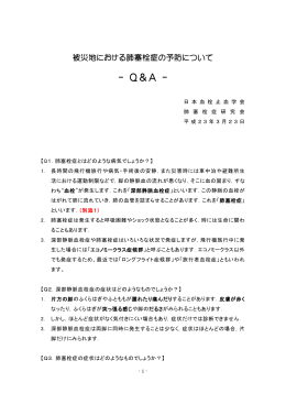 Q&A-（PDF）