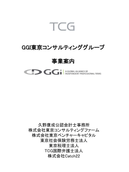 Tokyo Consulting Firm