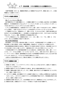ヒブ・肺炎・ロタ説明書（PDF：536KB）