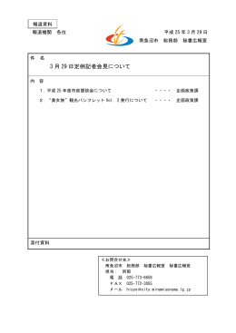 平成25年3月29日定例記者会見配布資料 [PDFファイル