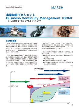 BCM構築支援コンサルティング