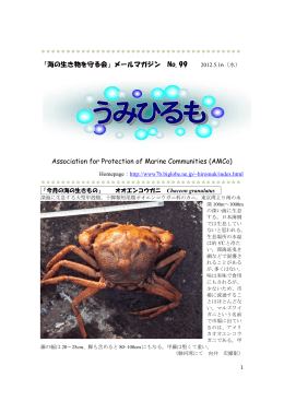 「海の生き物を守る会」メールマガジン No. 99 2012.5.16（水
