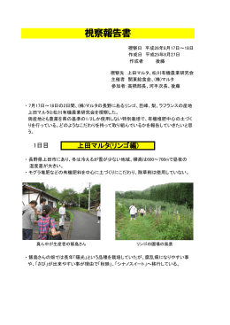 2014/8/17 株式会社 マルタ（長野県産果物圃場）