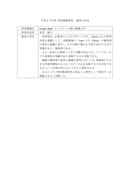 H25年度_特推_審査の所見_北村 隆行（京都大学）