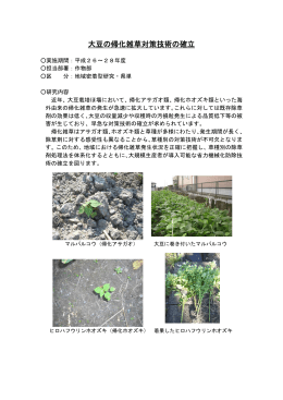 大豆の帰化雑草対策技術の確立（作物部）