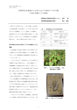 長野県松本地域の大豆作における帰化アサガオ類 の発生実態とその要因