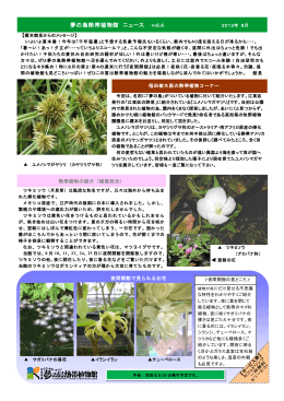 夢の島熱帯植物館 ニュース vol.6