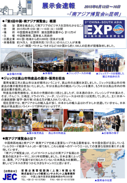 中国雲南省昆明で開催された「南アジア博覧会」