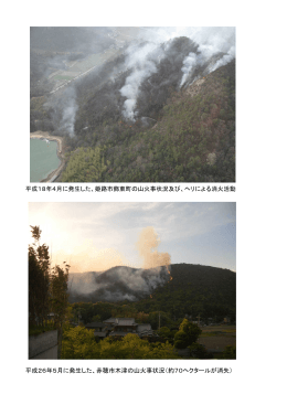 山火事の発生状況（PDF：421KB）