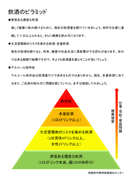 飲酒のピラミッド（PDF形式 331.9KB）