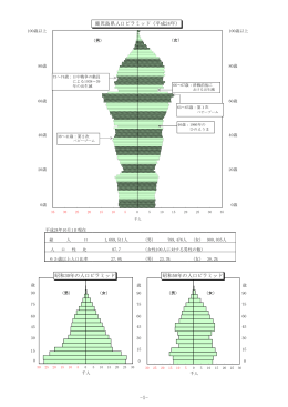 人口ピラミッド及び結果の概要（PDF：854KB）