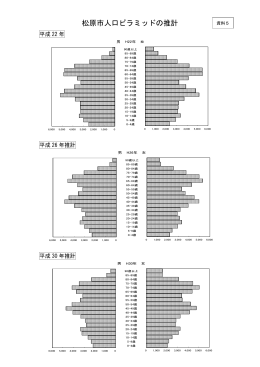 資料5 松原市人口ピラミッドの推計 [61KB pdfファイル]