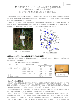 横浜市内のヒトスジシマカ成虫生息状況調査結果 ―平成26年6～8月