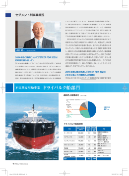 アニュアル・レポート2015：ドライバルク船部門 PDF（628KB）