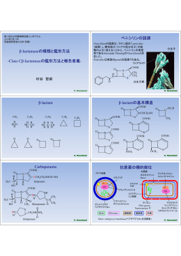 β-lactamaseの種類と鑑別方法 -Class Cβ