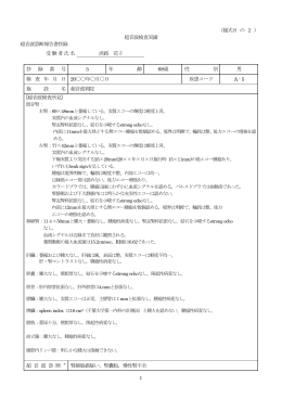 記入例3 - 日本超音波医学会