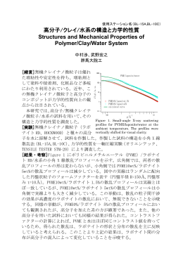 高分子/クレイ/水系の構造と力学的性質 Structures and Mechanical