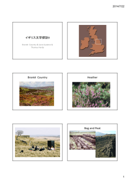 イギリス文学探訪9 Brontë Country Heather Bog and Peat