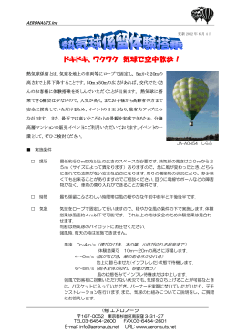 資料（PDFファイル：206KB）